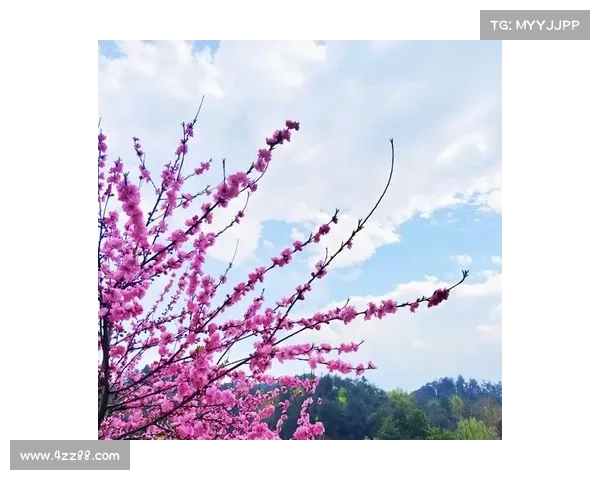 桃花仙境再启程,新桃花源手游奇遇 桃花仙境再启程,新桃花源手游奇遇